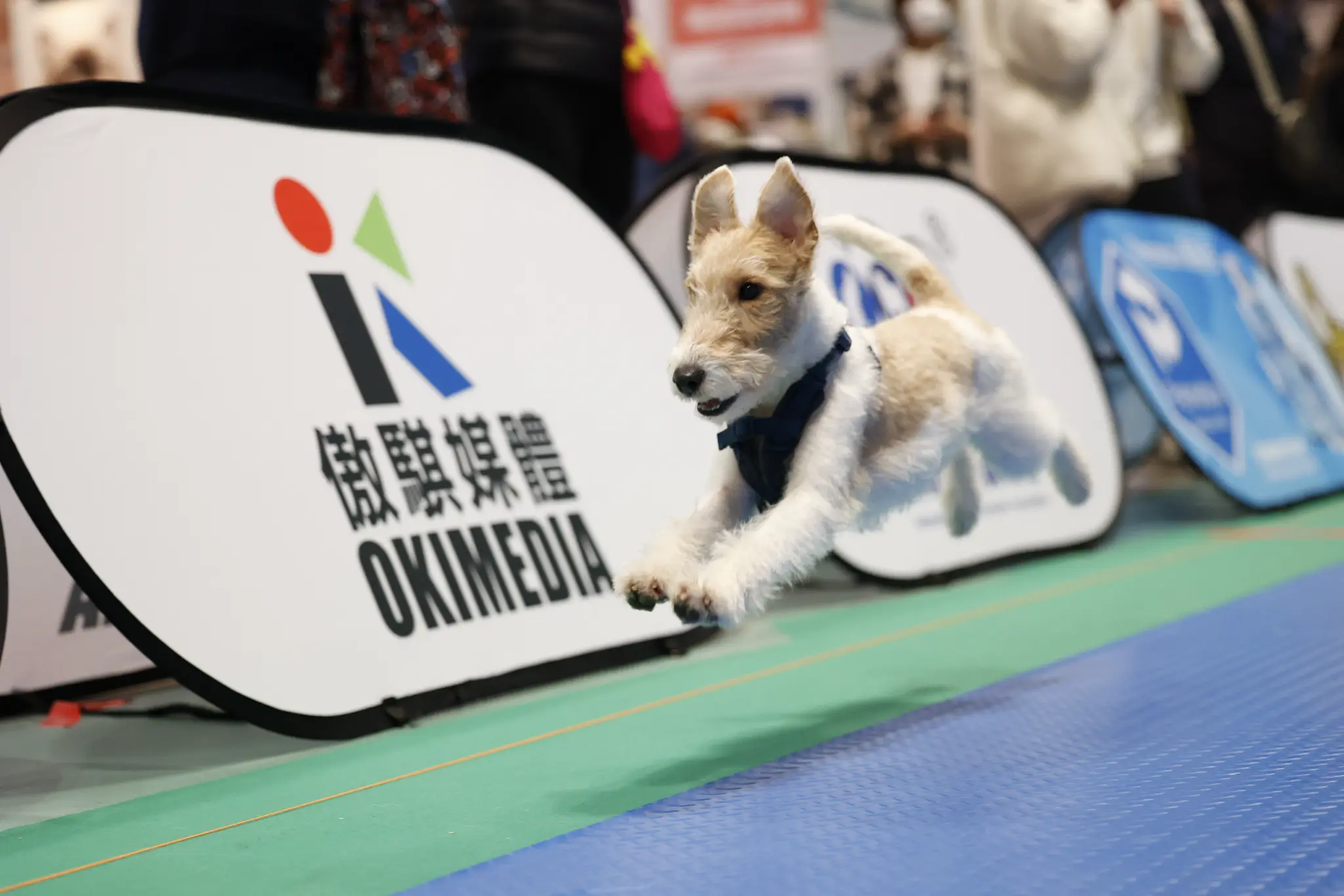 2024 年度最佳成績紀錄出爐