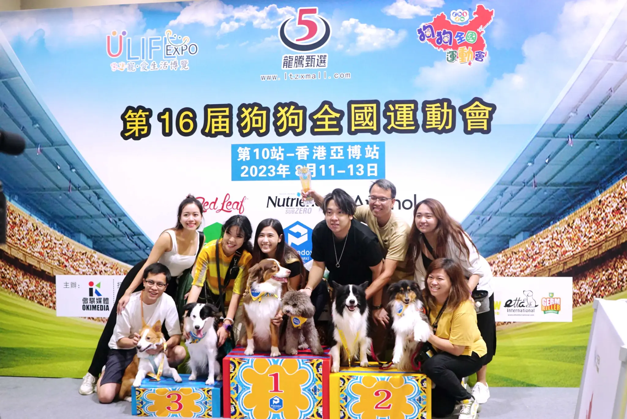 19 年專業傳承，累計超過 10,000 隻狗狗參賽