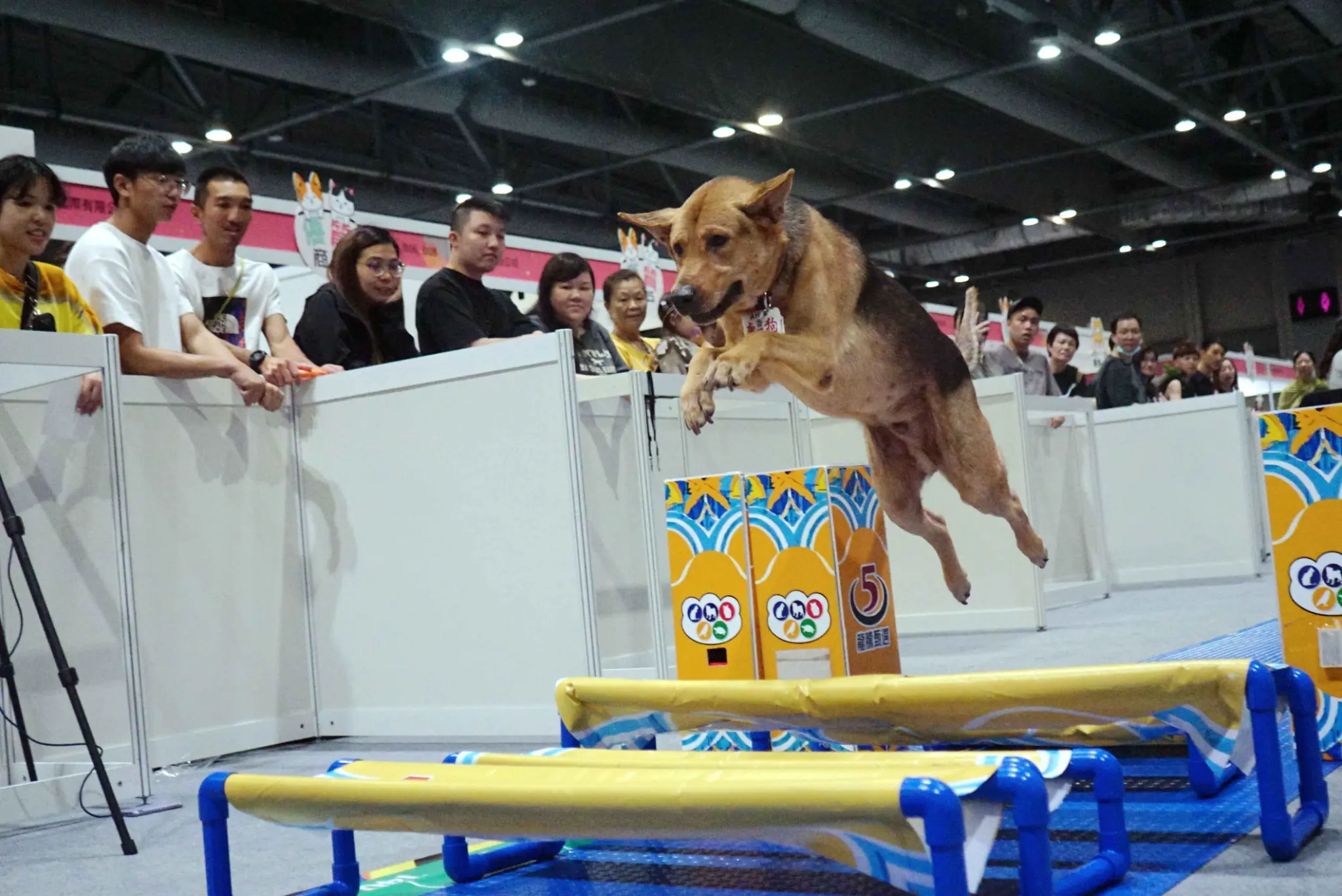 首次引入「三項鐵犬」挑戰賽